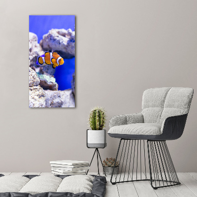 Foto obraz akrylový na stěnu vertikální Ryba Nemo