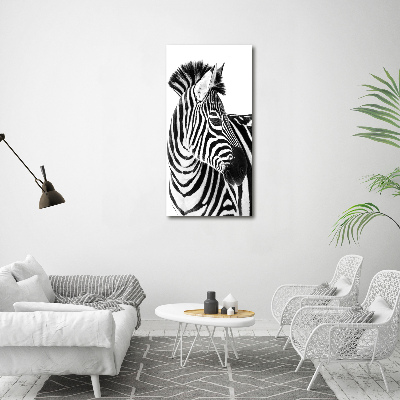Foto obraz akryl do obýváku vertikální Zebra na sněhu