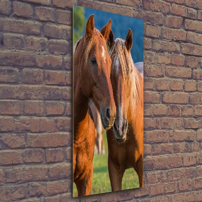 Foto obraz akrylový na stěnu vertikální Koně