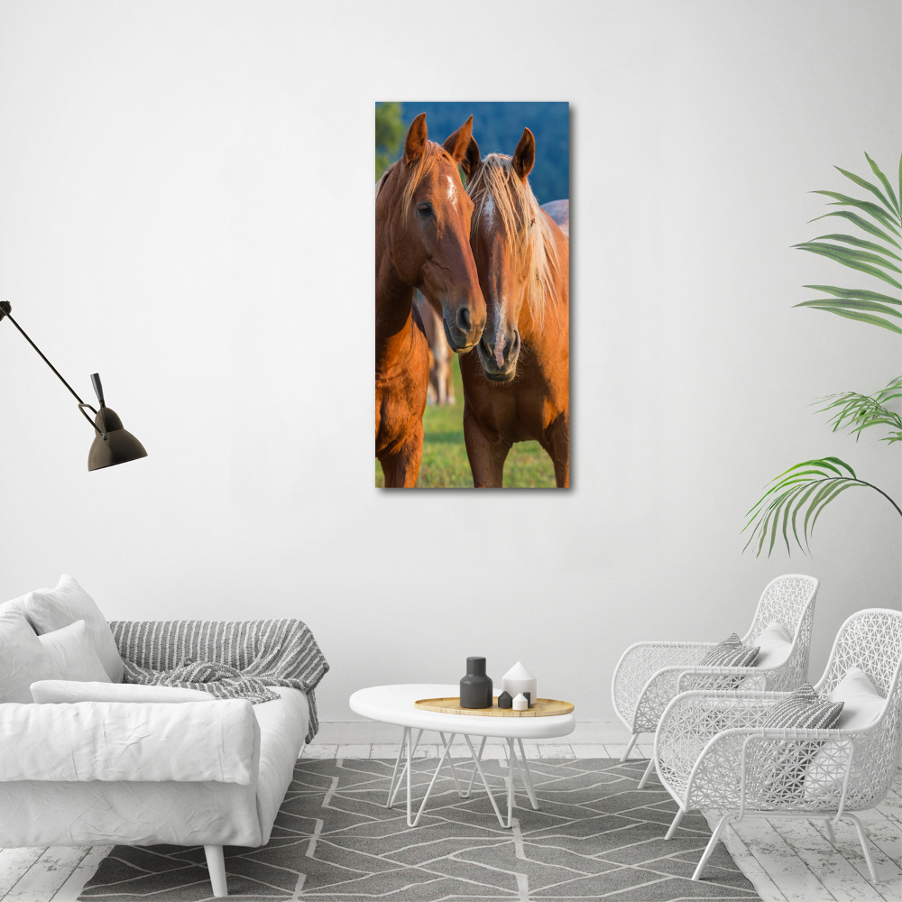 Foto obraz akrylový na stěnu vertikální Koně