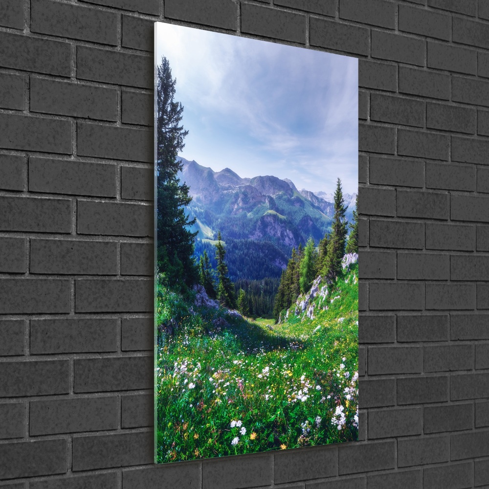Moderní obraz fotografie na akrylu vertikální Alpy