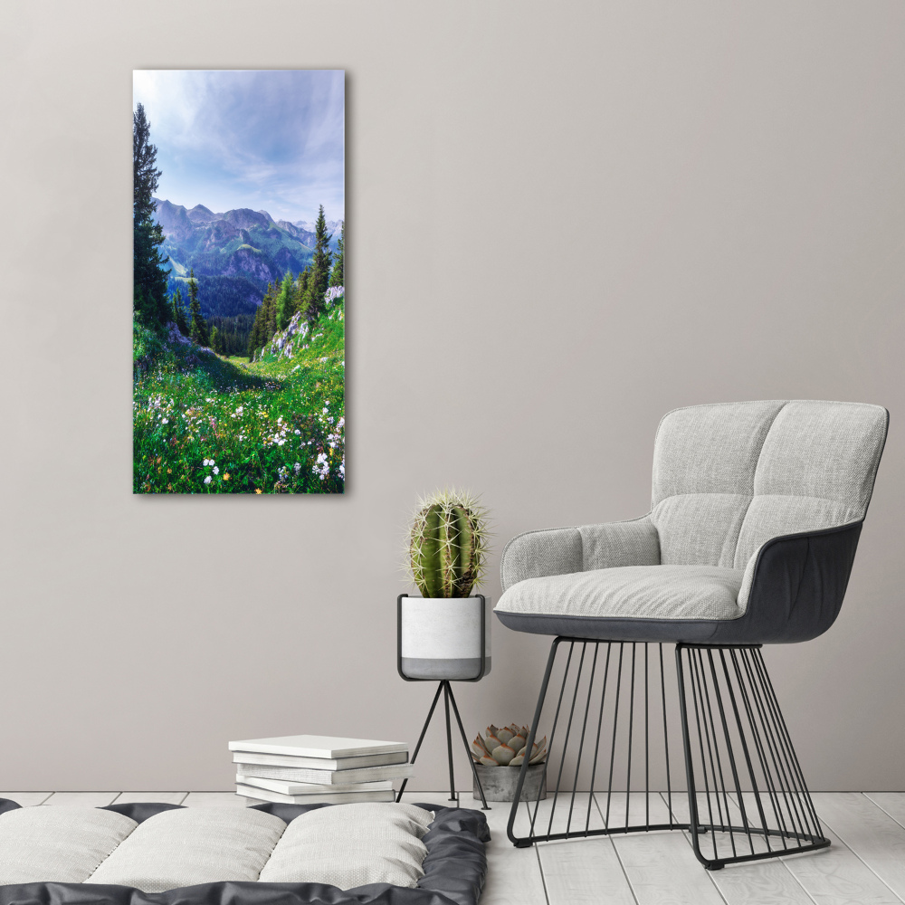 Moderní obraz fotografie na akrylu vertikální Alpy