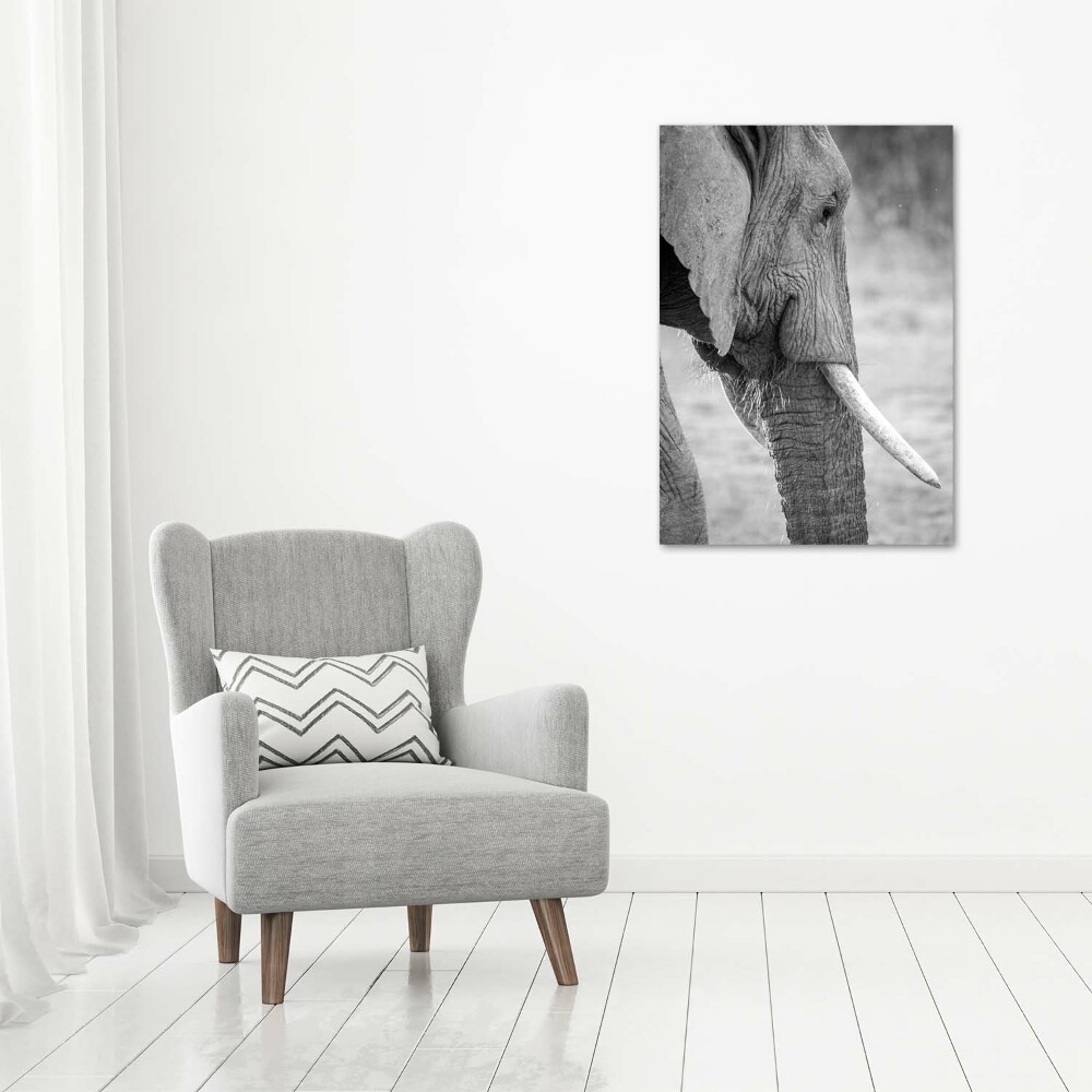 Moderní obraz fotografie na akrylu vertikální Slon