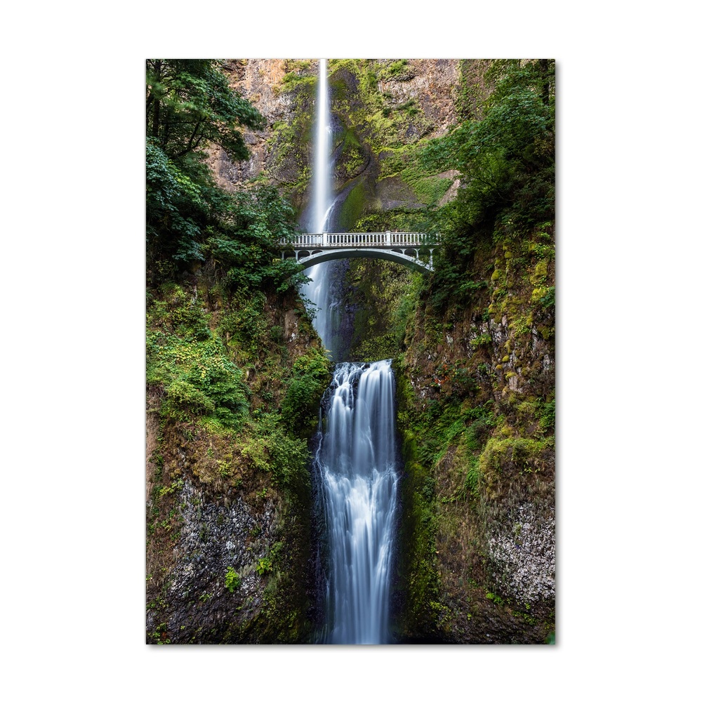Foto obraz akrylový na stěnu vertikální Vodopád