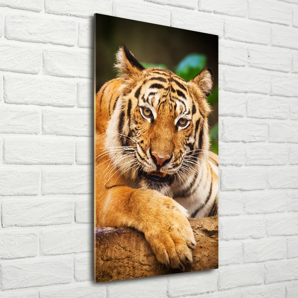 Foto obraz akrylové sklo vertikální Bengálský tygr