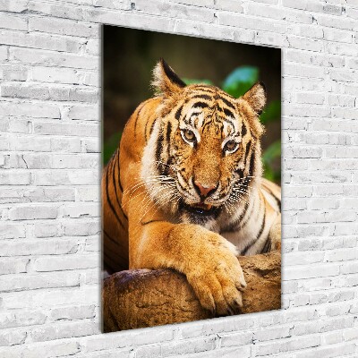 Foto obraz akrylové sklo vertikální Bengálský tygr