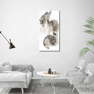 Moderní akrylový fotoobraz vertikální Šedí vlci