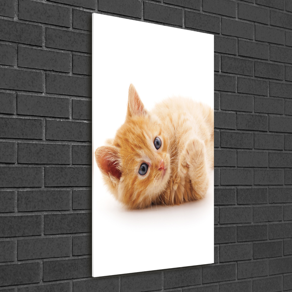 Foto obraz akrylový do obýváku vertikální Malá červená kočka