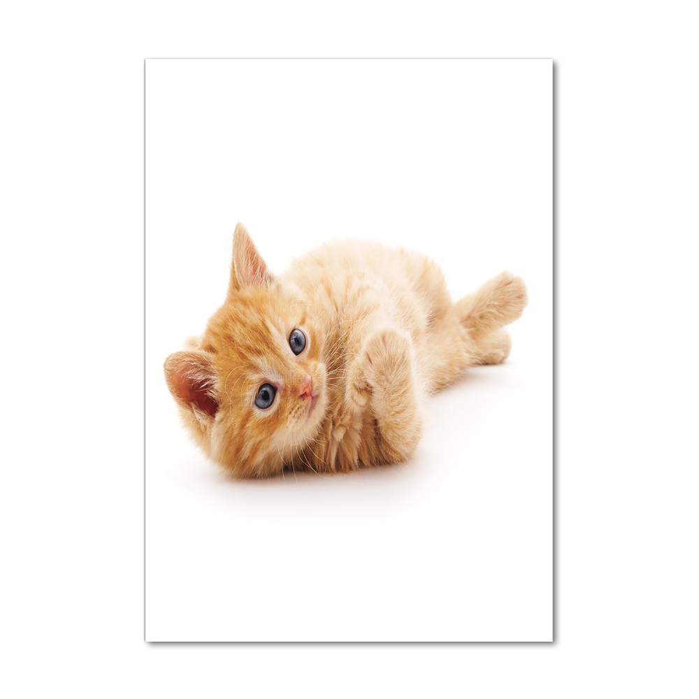 Foto obraz akrylový do obýváku vertikální Malá červená kočka