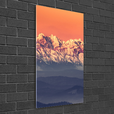 Foto obraz akryl do obýváku vertikální Panorama Tatry