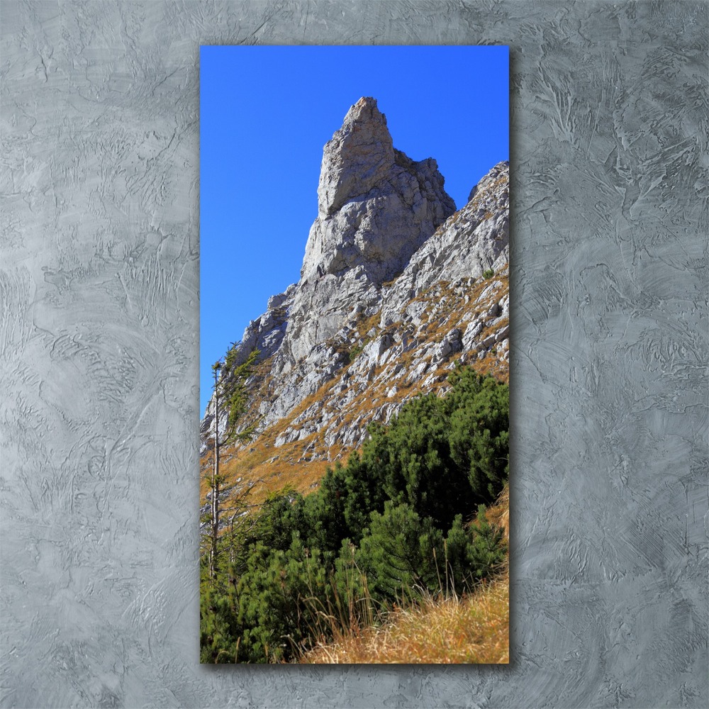 Foto obraz akrylový vertikální malý Giewont Tatry