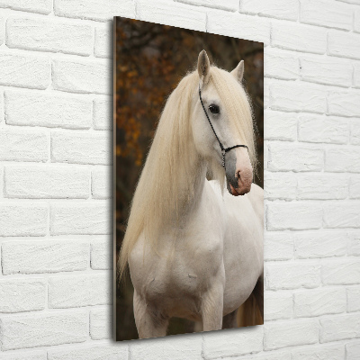 Foto obraz akrylový na stěnu vertikální Bílý kůň