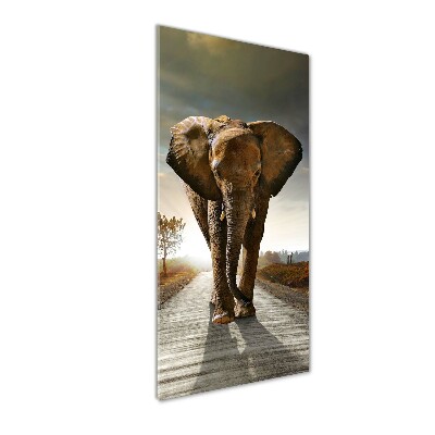Foto obraz akrylové sklo vertikální Chodící slon