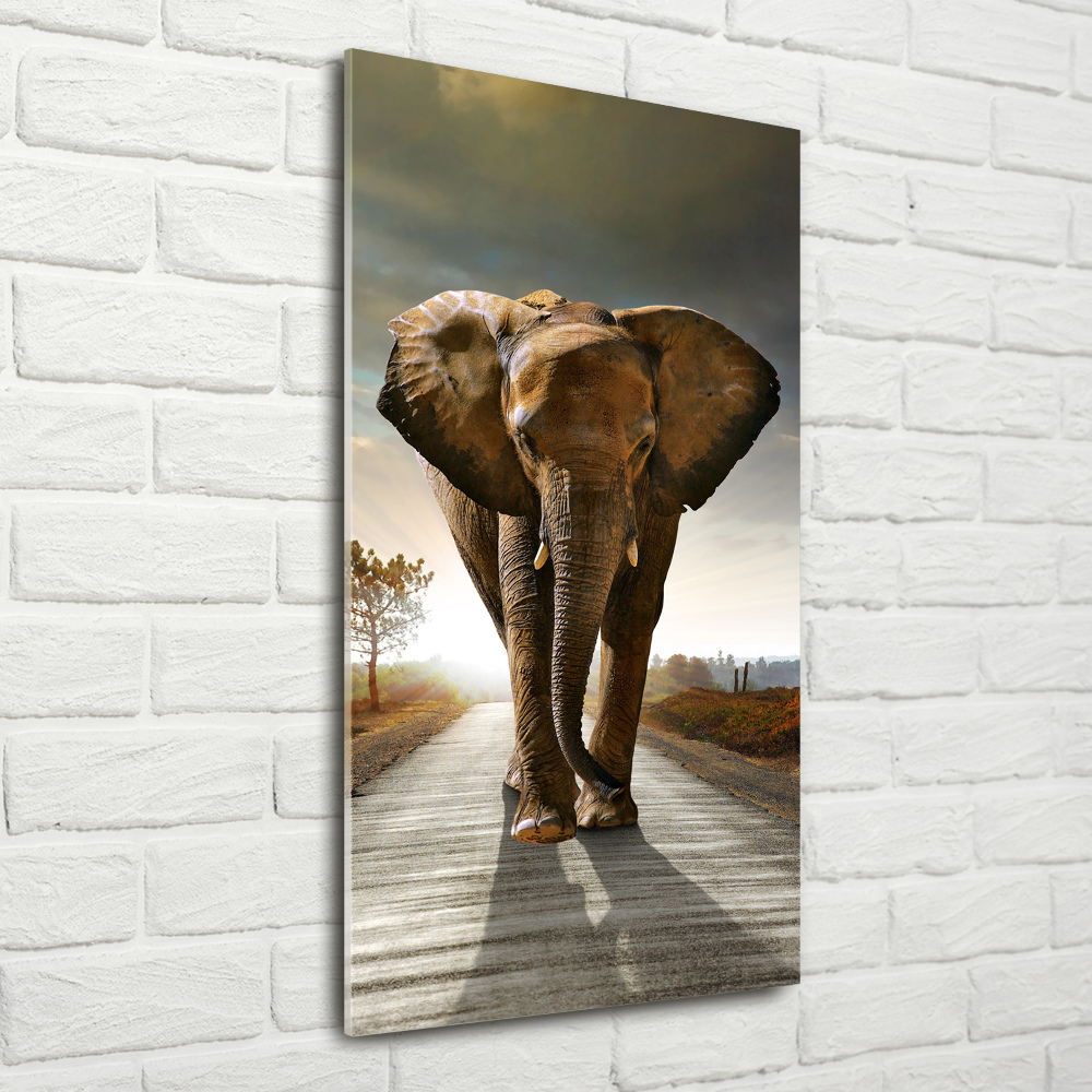 Foto obraz akrylové sklo vertikální Chodící slon