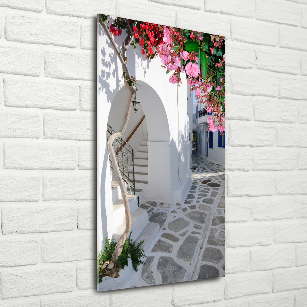 Foto obraz akrylový do obýváku vertikální Řecká vesnice