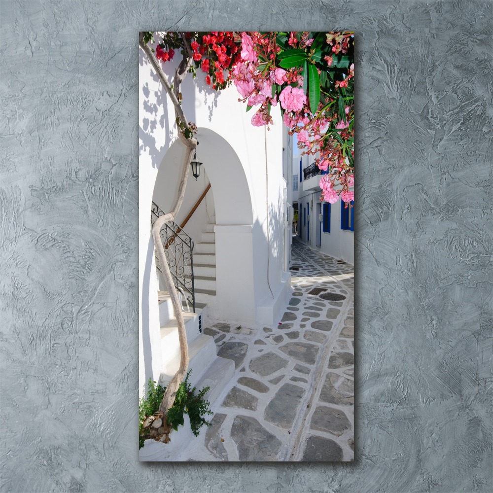 Foto obraz akrylový do obýváku vertikální Řecká vesnice