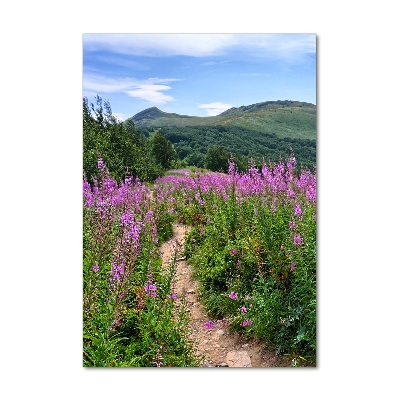 Foto obraz akrylový na stěnu vertikální Bieszczady