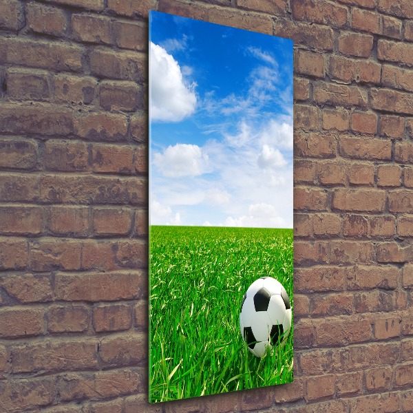 Foto obraz akrylový vertikální Fotbal na louce