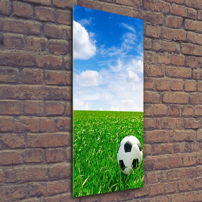 Foto obraz akrylový vertikální Fotbal na louce