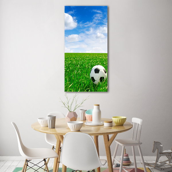 Foto obraz akrylový vertikální Fotbal na louce