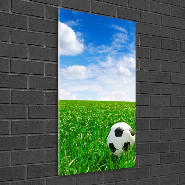 Foto obraz akrylový vertikální Fotbal na louce