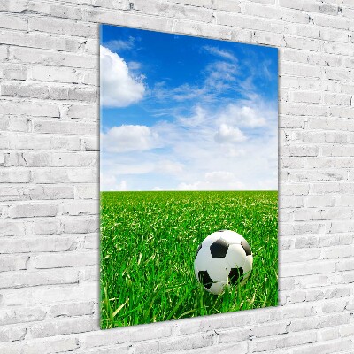 Foto obraz akrylový vertikální Fotbal na louce