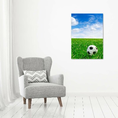 Foto obraz akrylový vertikální Fotbal na louce