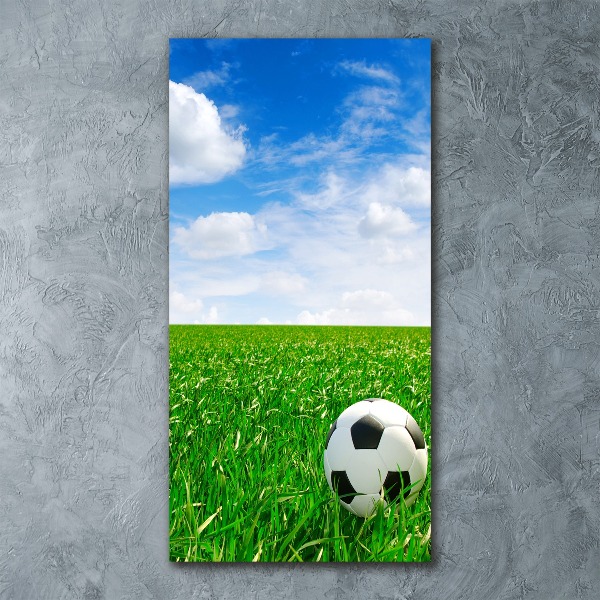 Foto obraz akrylový vertikální Fotbal na louce