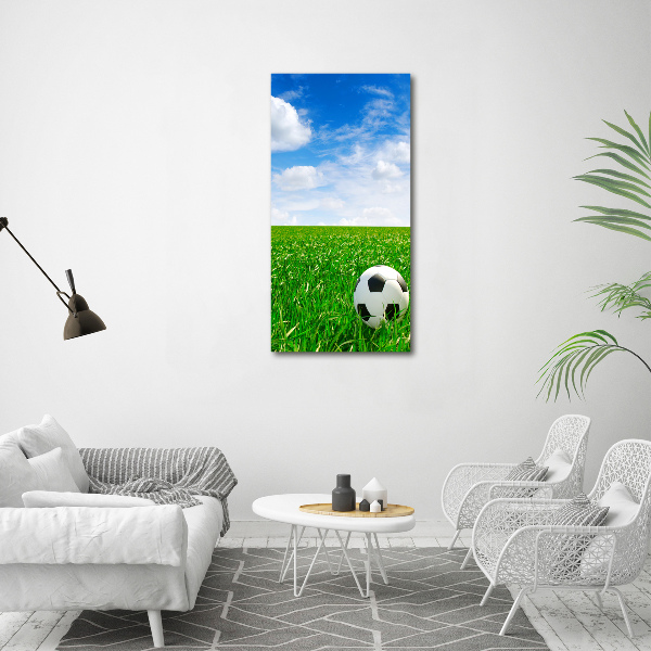 Foto obraz akrylový vertikální Fotbal na louce