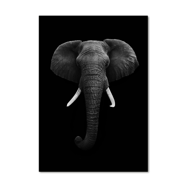 Foto obraz akrylové sklo vertikální Africký slon