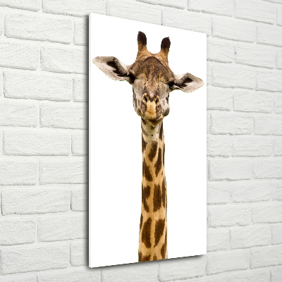 Foto obraz akrylové sklo vertikální Žirafa