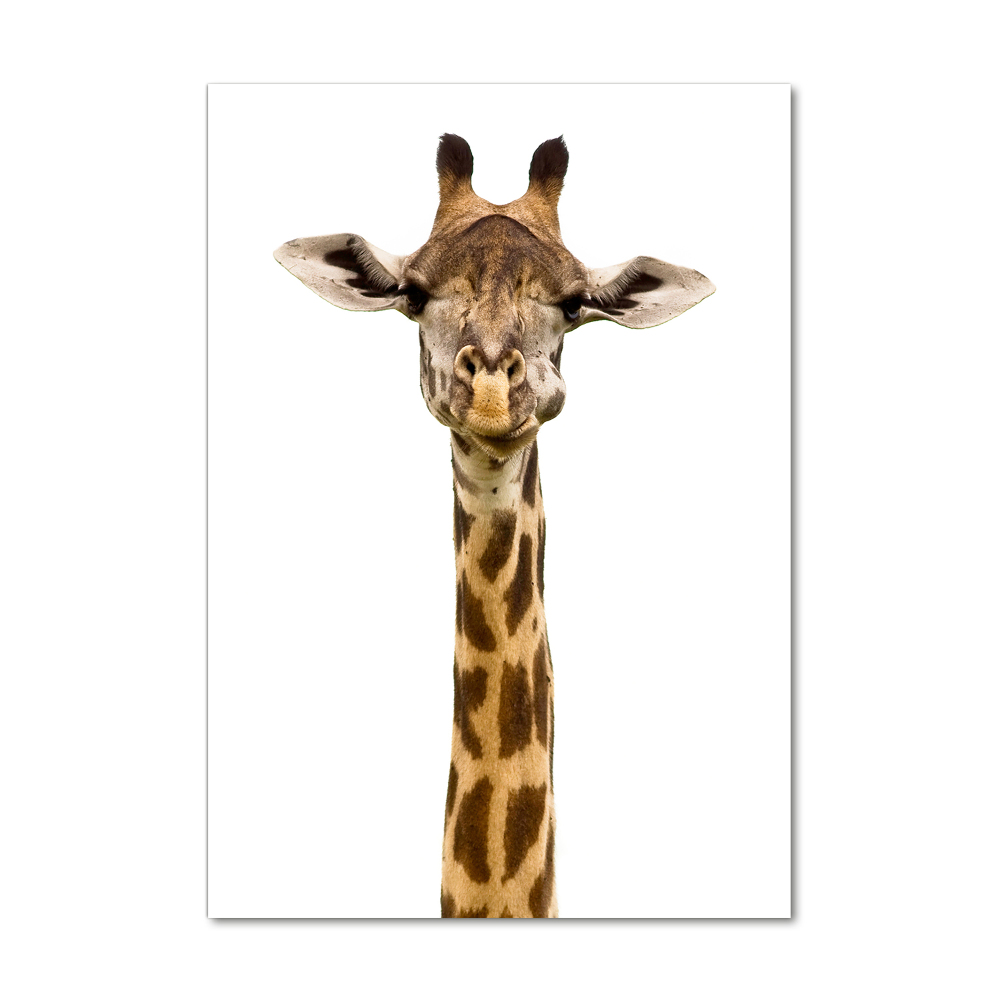 Foto obraz akrylové sklo vertikální Žirafa