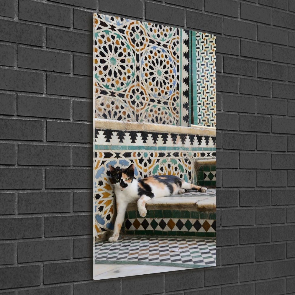 Moderní akrylový fotoobraz vertikální Kocour v Maroku