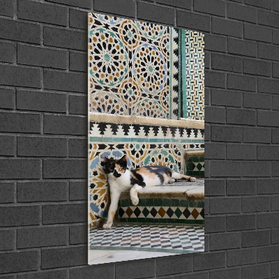 Moderní akrylový fotoobraz vertikální Kocour v Maroku