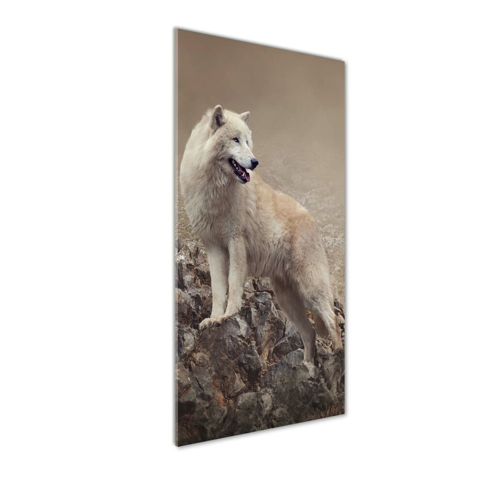 Foto obraz akrylový do obýváku vertikální Vlk na skále