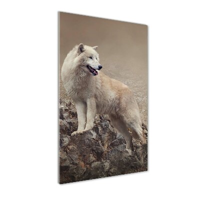 Foto obraz akrylový do obýváku vertikální Vlk na skále
