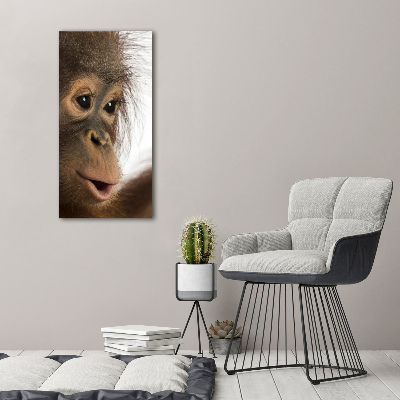Foto obraz akrylové sklo vertikální Mladý orangutan