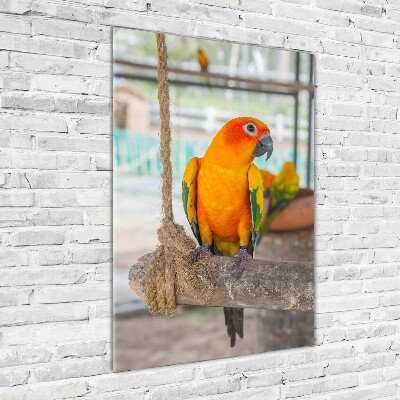 Foto obraz akrylové sklo vertikální Papoušek
