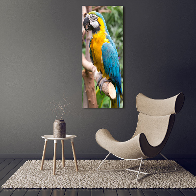 Foto obraz akrylový na stěnu vertikální Papoušek Ara