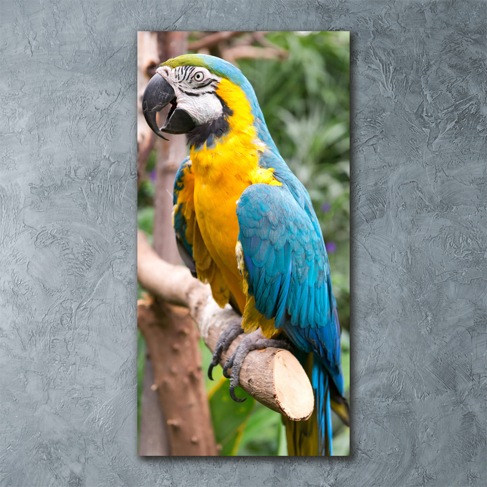 Foto obraz akrylový na stěnu vertikální Papoušek Ara