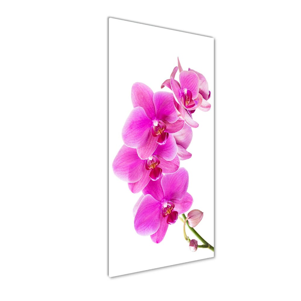 Foto obraz akrylové sklo vertikální Růžová orchidej