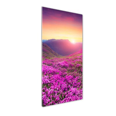 Foto obraz akrylové sklo vertikální Hory rododendrom