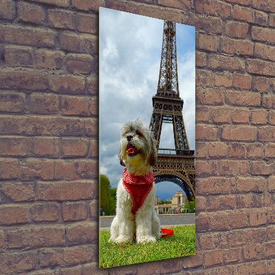 Foto obraz akrylový do obýváku vertikální Pes v Paříži