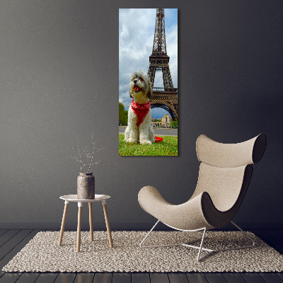 Foto obraz akrylový do obýváku vertikální Pes v Paříži
