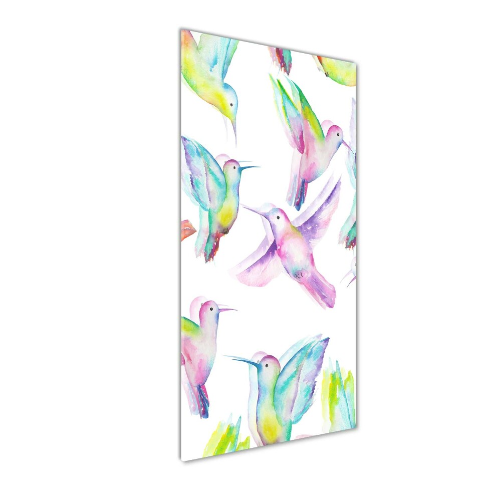 Foto obraz akrylové sklo vertikální Barevní kolibříci