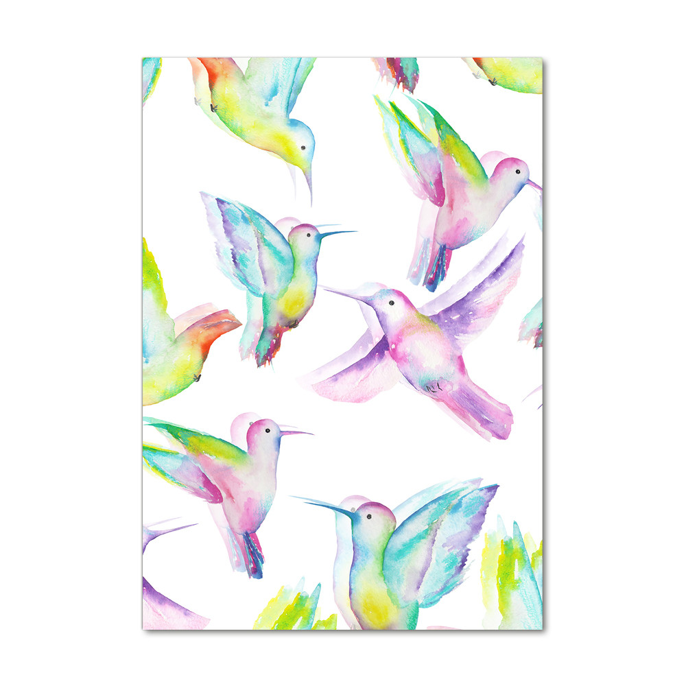 Foto obraz akrylové sklo vertikální Barevní kolibříci