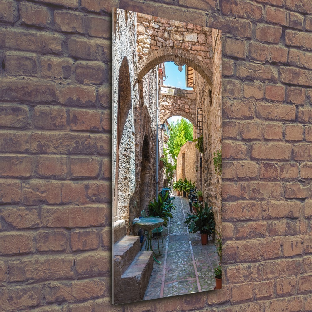 Foto obraz akrylové sklo vertikální Italské uličky