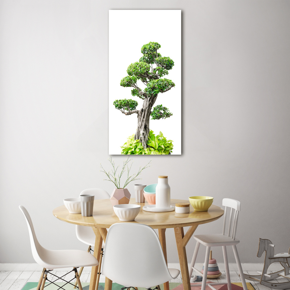 Foto obraz akrylový do obýváku vertikální Bonsai