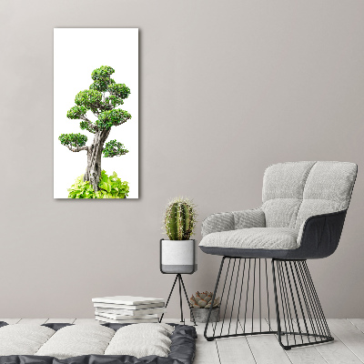 Foto obraz akrylový do obýváku vertikální Bonsai