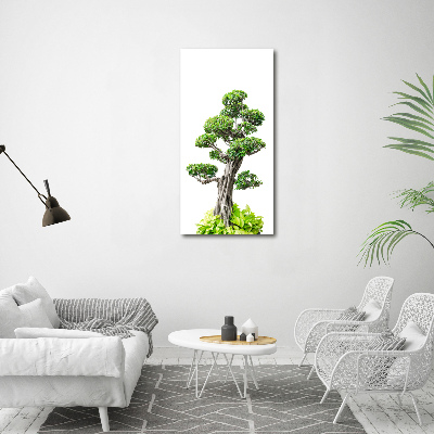 Foto obraz akrylový do obýváku vertikální Bonsai